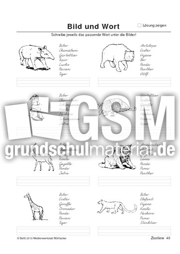 BuW Zootiere40.pdf